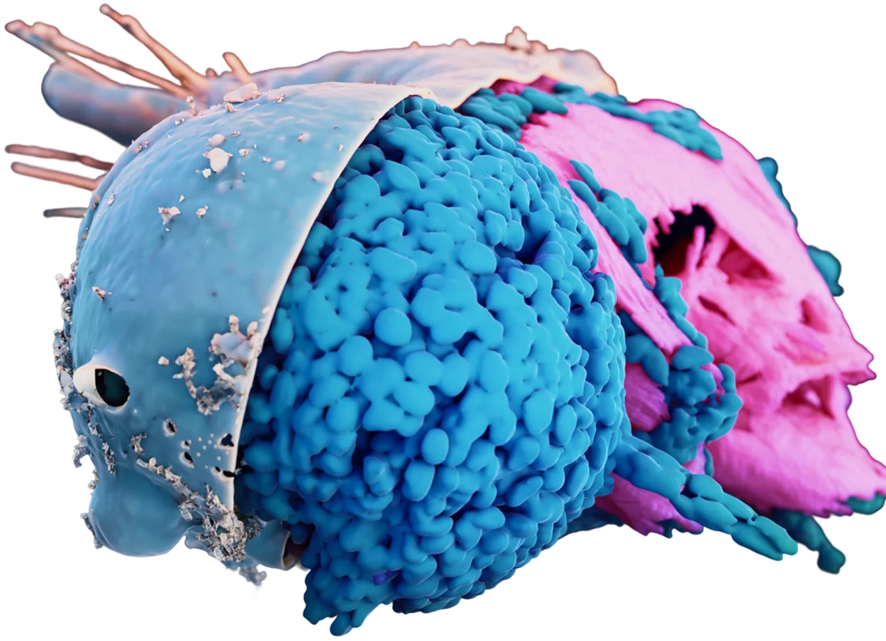Where Microscopy Meets Discovery